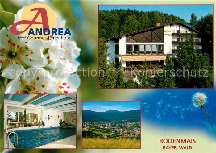 Bodenmais Andrea Gourmet Ferienhotel Hallenbad Landschaftspanorama Bayerischer W