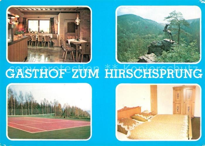 Issigau Gasthof Zum Hirschsprung Fremdenzimmer Tennisplatz