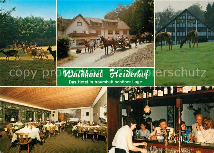 Obersteinebach Hotel Pension Waldhotel Heiderhof Restaurant Wildpark Pferdewagen