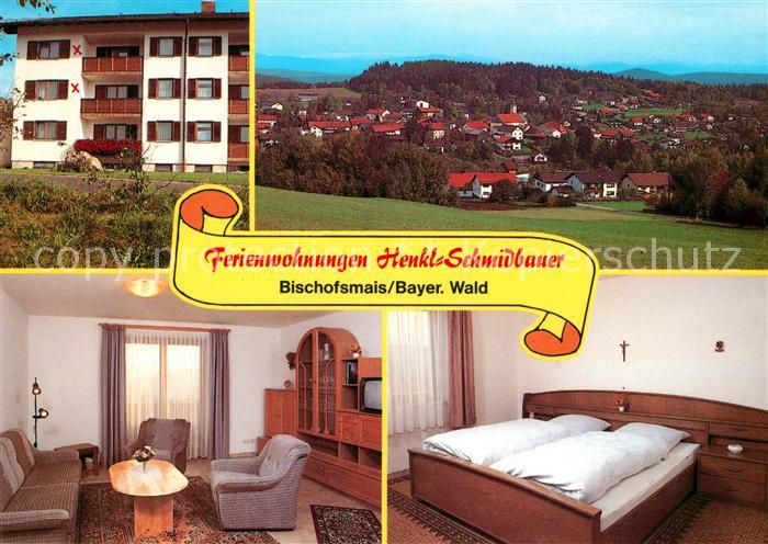 Bischofsmais Ferienwohnungen Henkl Schmidbauer Stadtpanorama