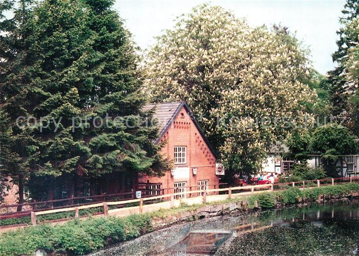 Farchau Ratzeburg Gaststaette Pension Farchauer Muehle Baumbluete