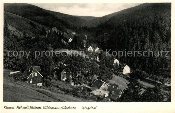 Wildemann Landschaftspanorama Spiegeltal