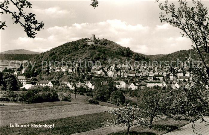 Gladenbach Lahn Hessen Gesamtansicht Luftkurort mit Schloss