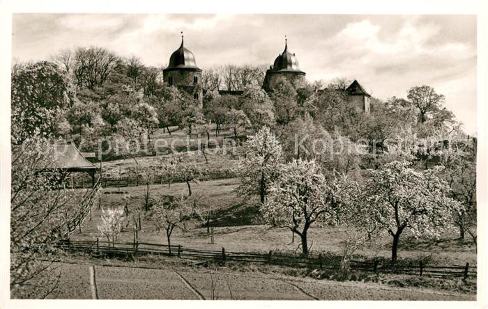 Hofgeismar Sababurg Baumbluete