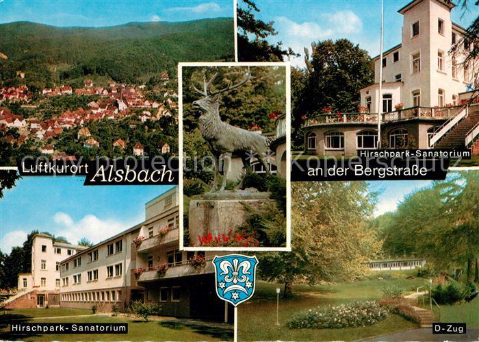 Alsbach Bergstrasse Panorama Luftkurort Hirschpark Sanatorium Hirschskulptur