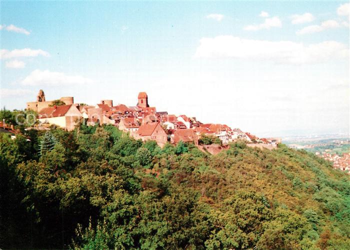 Neuleiningen Panorama Blick von Westen