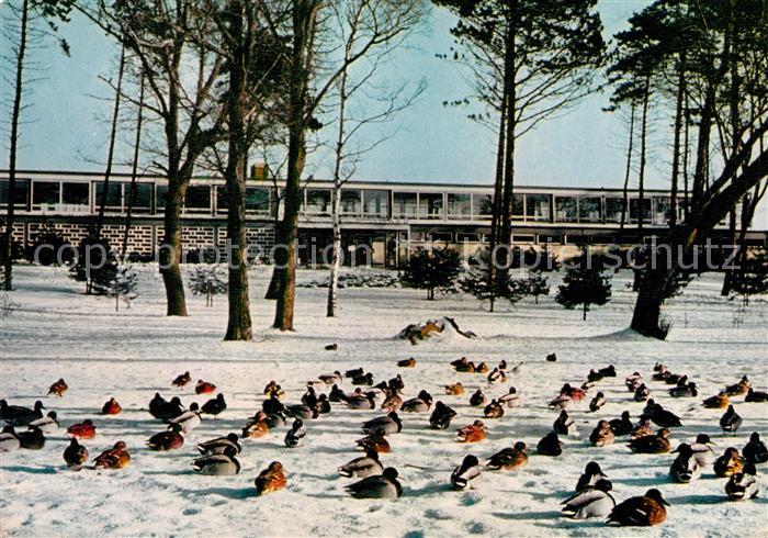 Timmendorfer Strand Winter an der See Meerwasserschwimmbad Wasservoegel