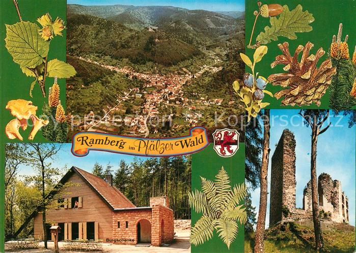 Ramberg Pfaelzer Wald Fliegeraufnahme Burgschenke Burgruine