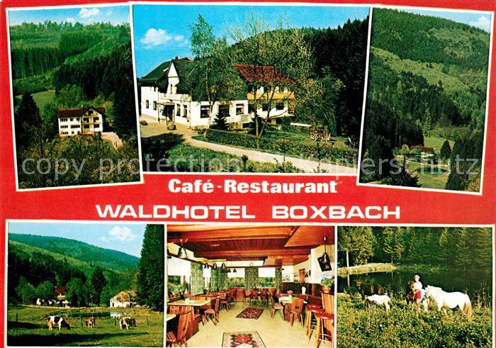 Boxbach Cafe Restaurant Waldhotel Weide Landschaftspanorama