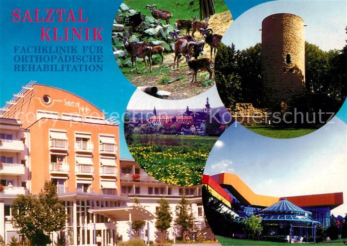 Bad Soden-Salmuenster Salztal Klinik Burgruine Stolzenberg Turm Muffel Wildpark