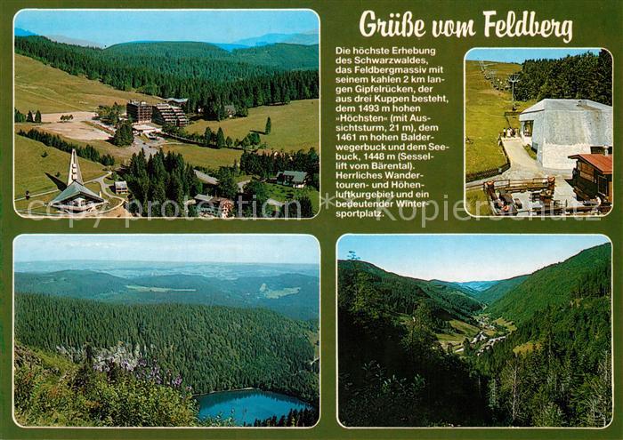 Feldberg Schwarzwald Skigebiet Panorama