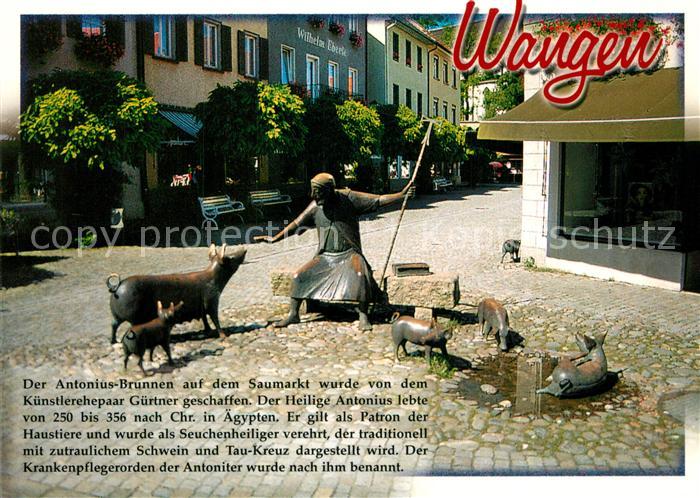 Wangen Allgaeu Antonius Brunnen Saumarkt
