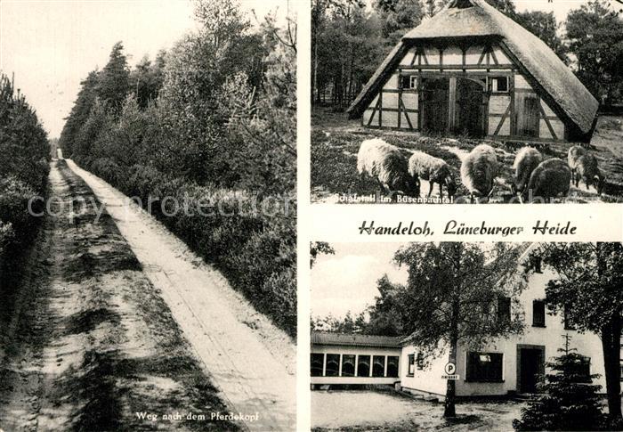 Handeloh Schafstall Gasthaus Heidekrone