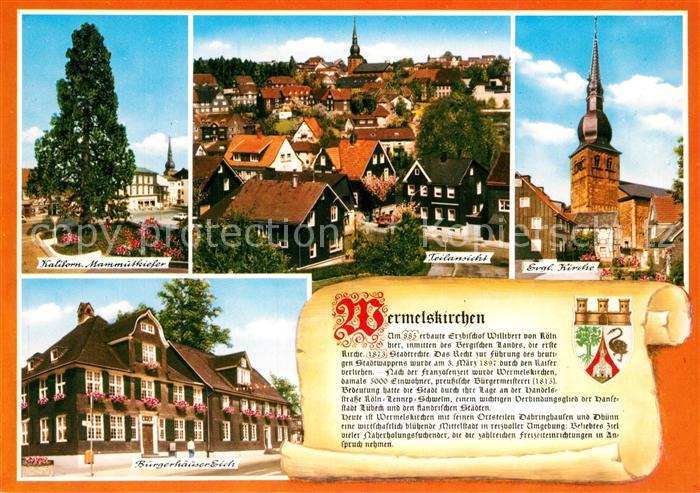 Wermelskirchen Panorama Mammutkiefer Kirche