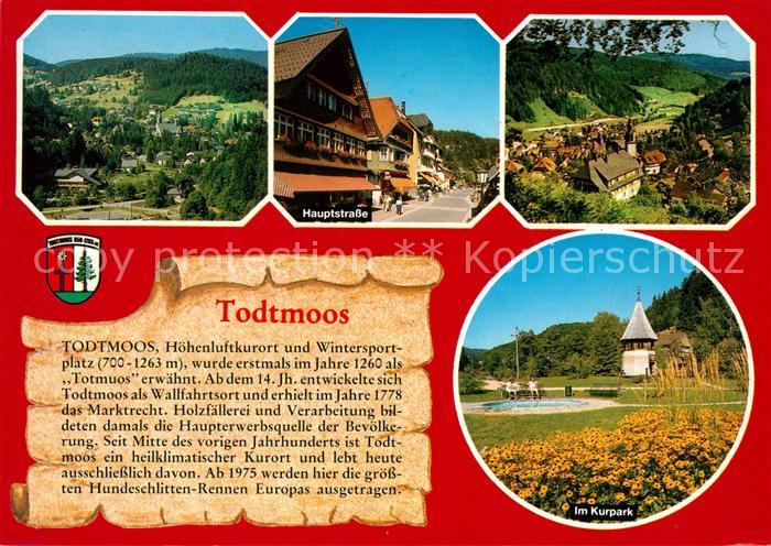 Todtmoos Hauptstrasse Kurpark Panorama Chronik