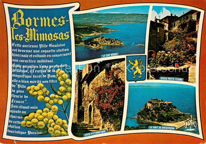 Bormes-les-Mimosas Le Cap Benat Vieux puits Fleuri Coin Pittoresque Le Fort de B