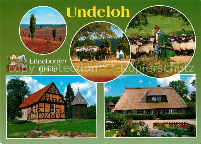 Undeloh im Naturschutzpark Lueneburger Heide Pferdewagen Schaefer Fachwerkhaus R