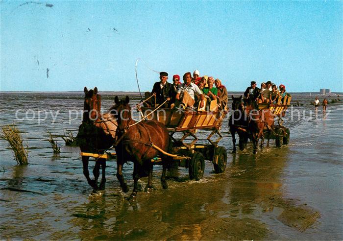 Cuxhaven Doese Nordseebad mit Waldbad Sahlenburg Wattwagen auf der Fahrt zur Ins