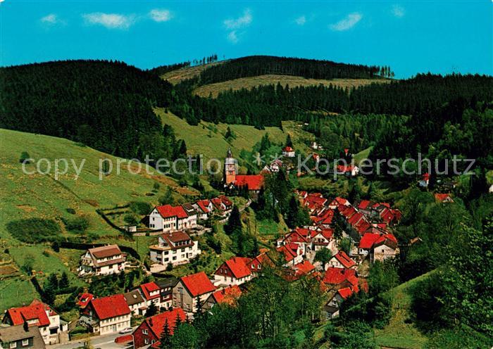 Wildemann Das Klein Tirol im Oberharz Panorama