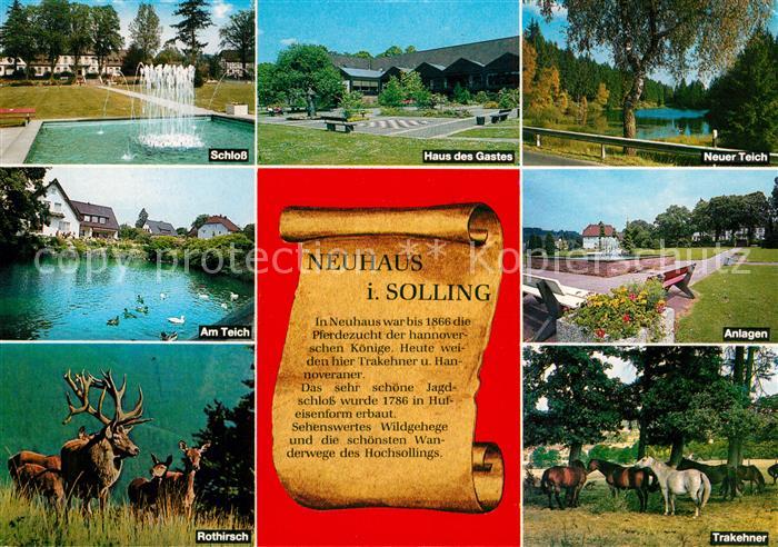 Neuhaus Solling Schloss Haus des Gastes Neuer Teich Anlagen Rothirsch Trakehner