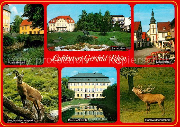 Gersfeld Rhoen Fulda Bruecke Sanatorium Marktplatz Hochwildschutzpark Steinbock