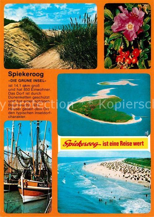 Spiekeroog Duenen Flora Fliegeraufnahmen Fischkutter Strandpartie