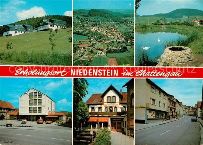 Niedenstein Fliegeraufnahme Teich Schwaene