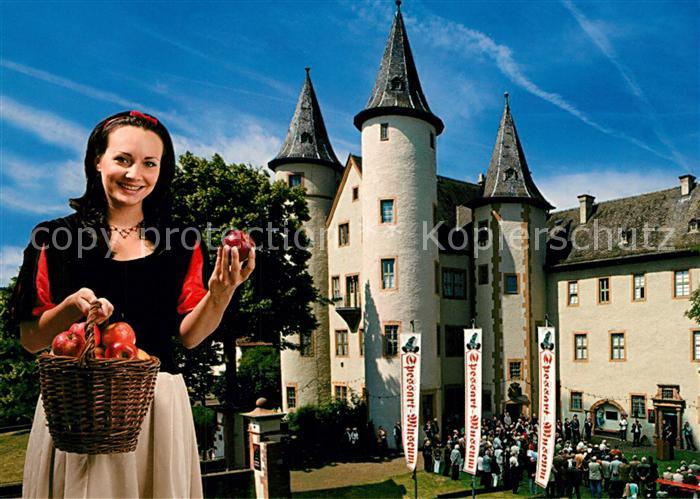 Lohr Main Schloss Platz Lohrer Schneewittchen