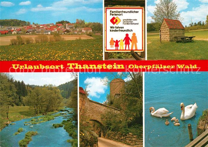 Thanstein Urlaubsort Oberpfaelzer Wald Landschaftspanorama Burg Schwaene