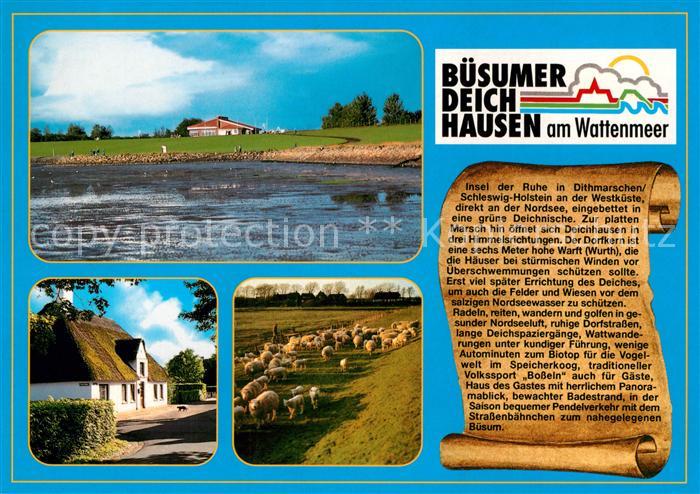 Deichhausen Buesum Wattenmeer Reetdachhaus Schafe