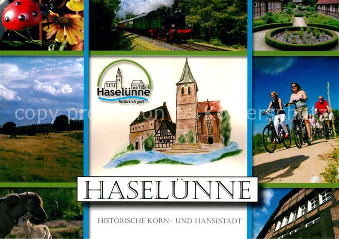 Haseluenne Historische Korn und Hansestadt Landschaftspanorama Pferde Dampflokom
