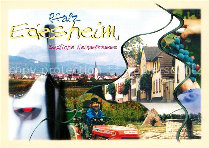 Edesheim Pfalz Ortsmotiv Weintrauben Panorama