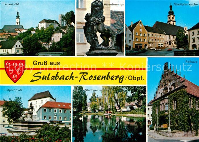 Sulzbach-Rosenberg Teilansicht Loewenbrunnen Kirche Rathaus Stadtweiher Luitpold