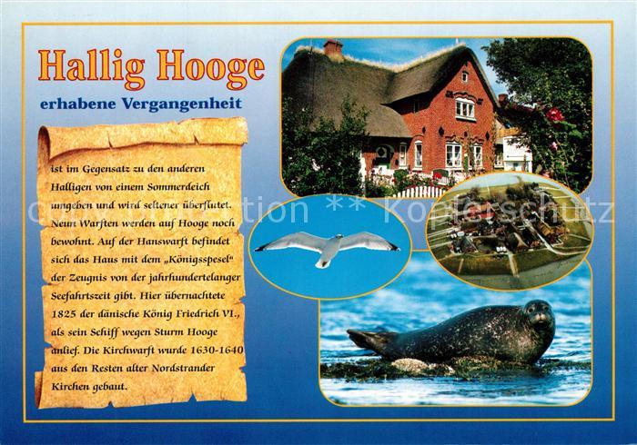 Hallig Hooge Reetdachhaus Moewe Seemoewe Fliegeraufnahme Chronik