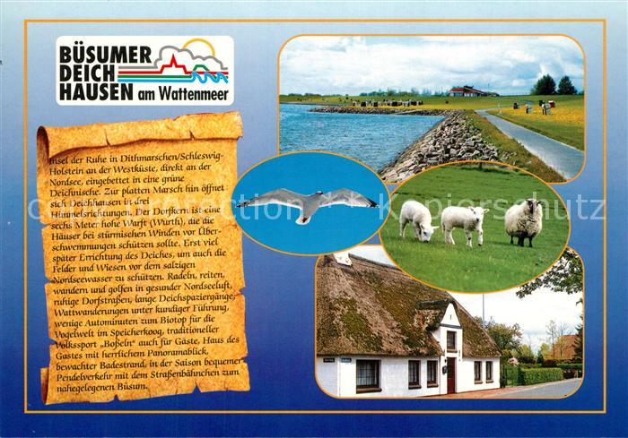 Deichhausen Buesum Deich Uferpromenade Moewe Schafe Reetdachhaus