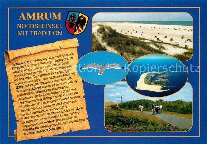 Amrum Strand Duenen Moewe Fahrradtour Fliegeraufnahme Chronik