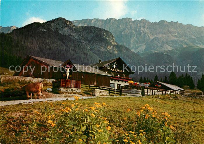 Leutasch Haemmermoosalm Leutascher Gaistal gegen Teufelsgrat Wettersteingebirge