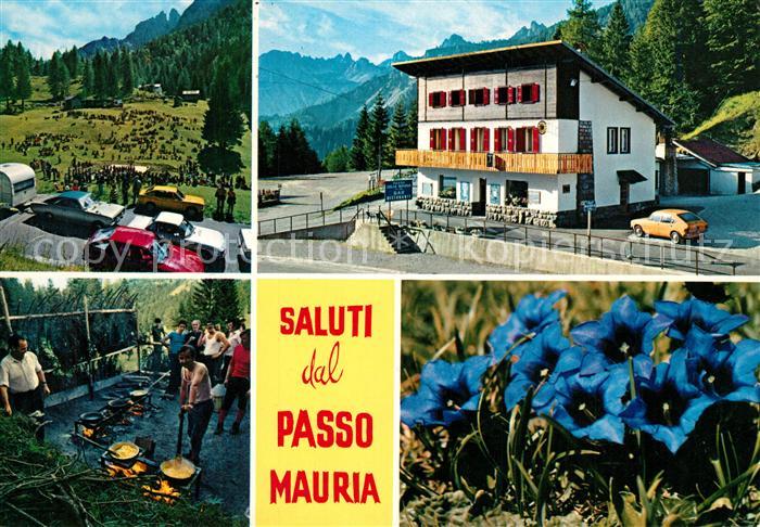 Passo Maurio Gebirgspass Dolomiten Berghotel Alpenflora Blauer Enzian