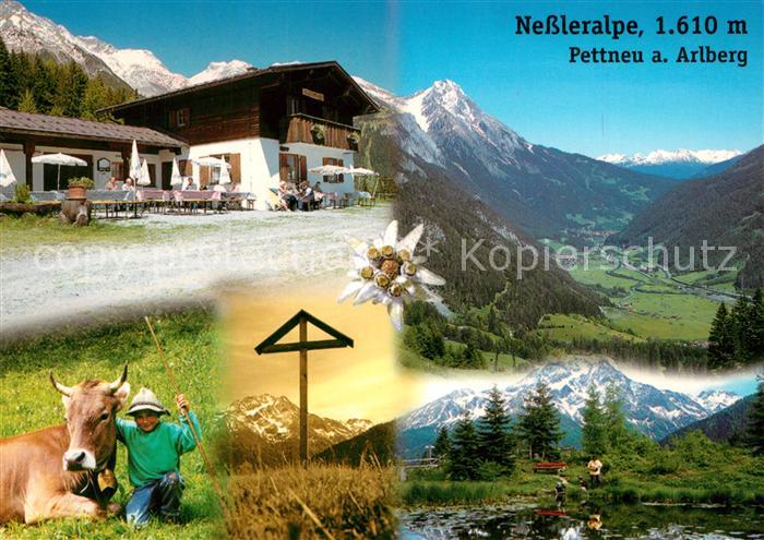 Pettnau Arlberg Nessleralpe Alm Jausenstation Alpenpanorama