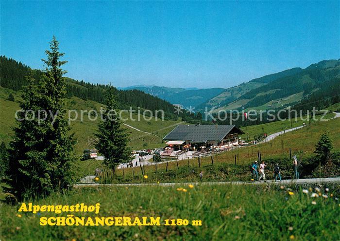Auffach Alpengasthof Schoenangeralm Landschaftspanorama Bergwiesen