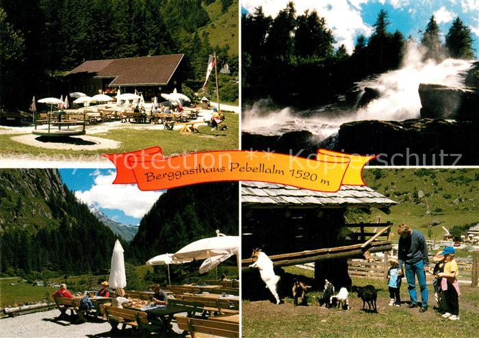 Praegraten Grossvenediger Berggasthaus Pebellalm Jausenstation Wildbach Ziegen