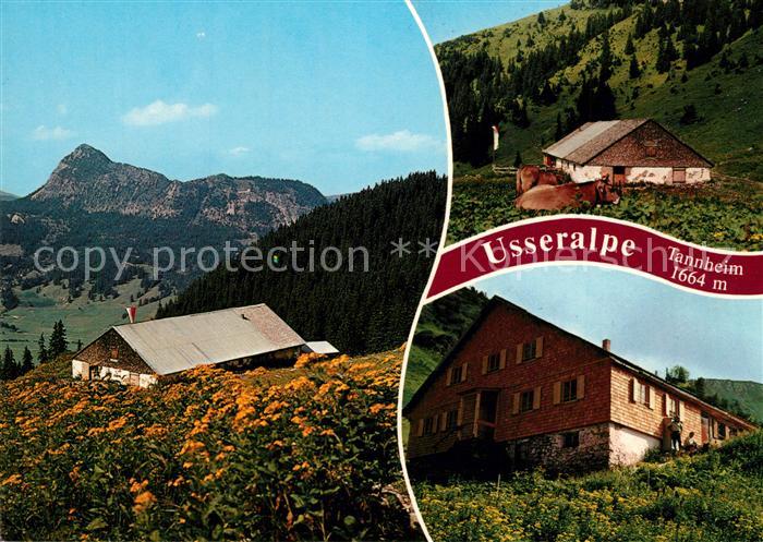 Tannheim Tirol Usseralpe Tannheimer Tal