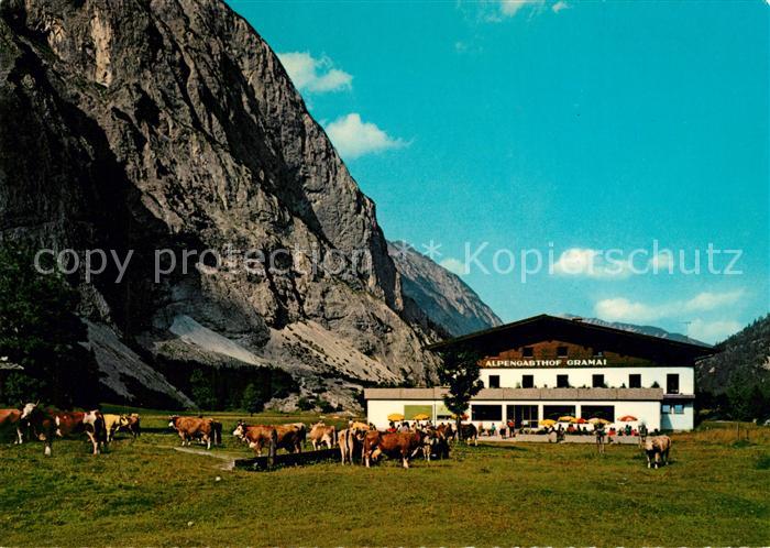 Pertisau Achensee Alpengasthof Gramai Falzthurntal Viehweide Kuehe Karwendelgebi