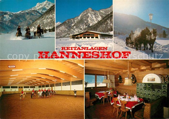 Erpfendorf Reitanlagen Hanneshof Reithalle Pferdeschlitten Winterpanorama