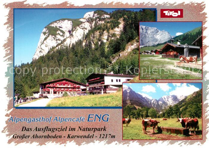 Hinterriss Tirol Alpengasthof Cafe Eng Naturpark Grosser Ahornboden Viehweide Ku