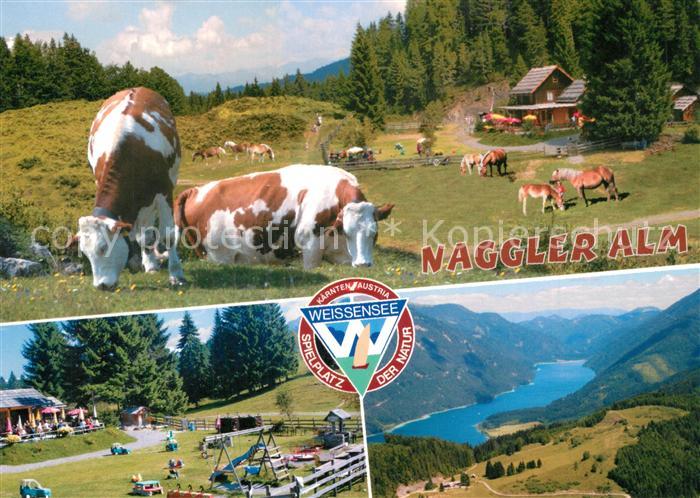 Weissensee Kaernten Naggler Alm Kuehe Pferde Kinderspielplatz Alpenpanorama