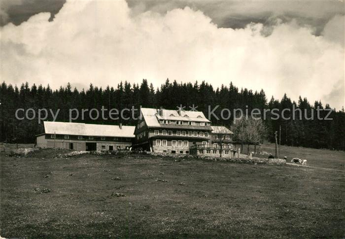 Krkonose Davidova bouda