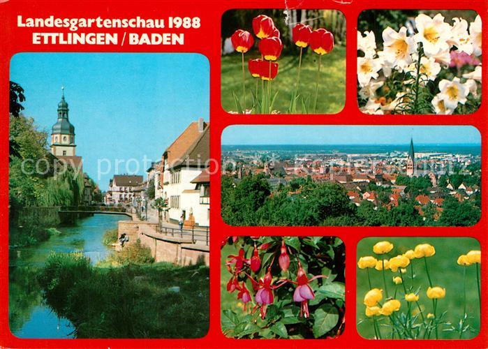 Ettlingen Partie an der Alb Blumen Stadtpanorama