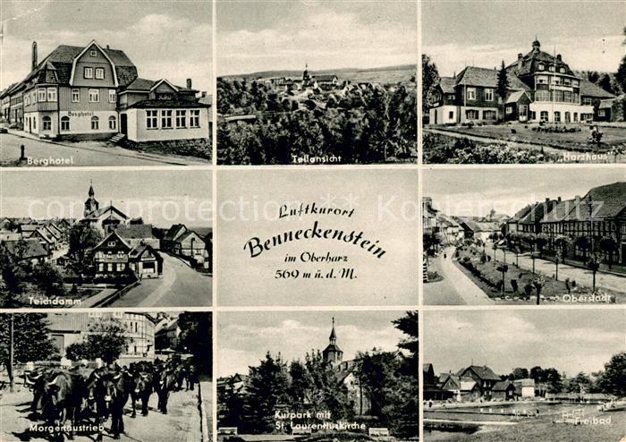 Benneckenstein Harz Berghotel Teichdamm Morgenaustrieb Kuehe Harzhaus Oberstadt