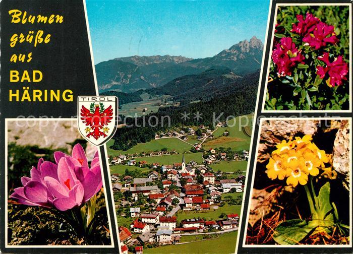 Bad Haering Tirol Panorama Kaisergebirge Fliegeraufnahme Alpenflora